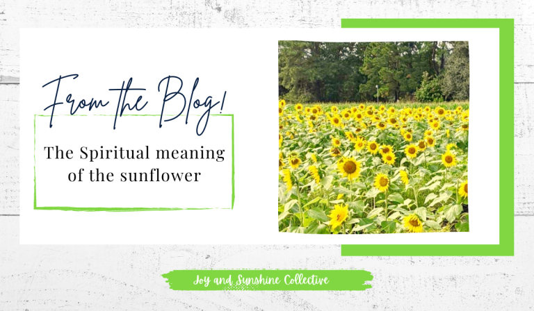 What is the spiritual meaning of the sunflower?